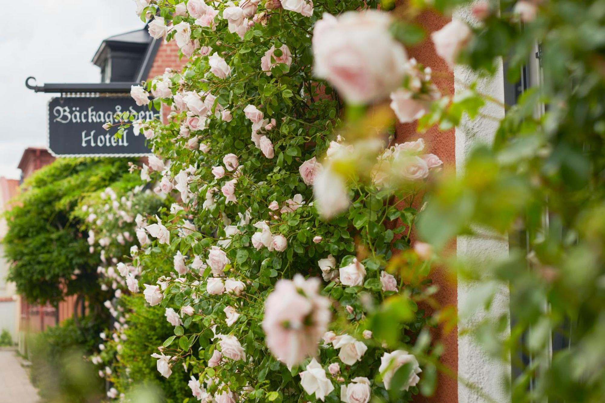 Hotell Baeckagarden Ystad Luaran gambar
